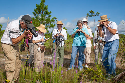 Group of people photographing plants
